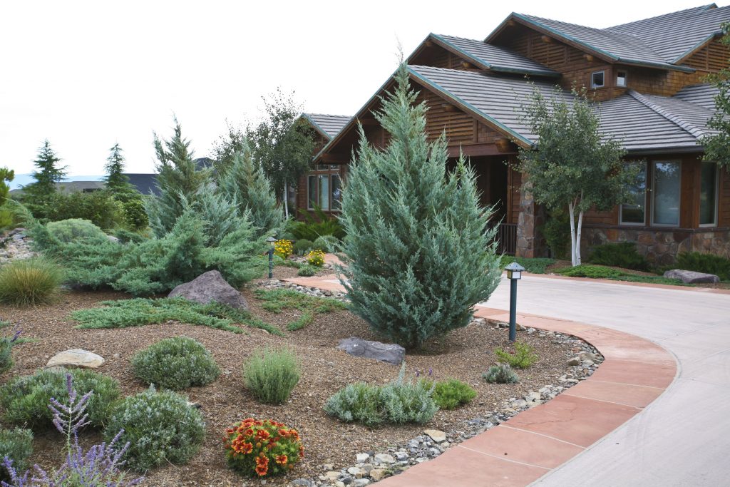 An image of the front yard of a home that has had landscaping work done on the yard by Vicente Landscaping in Northern Arizona. The yard has small plants and two bigger bushes planted around some rocks with a pretty rock bed around the driveway.