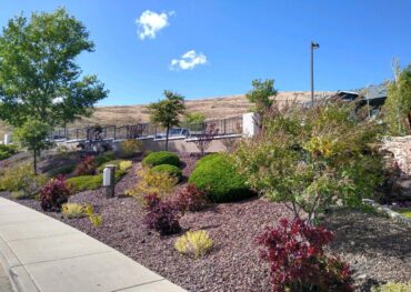 blog_img1