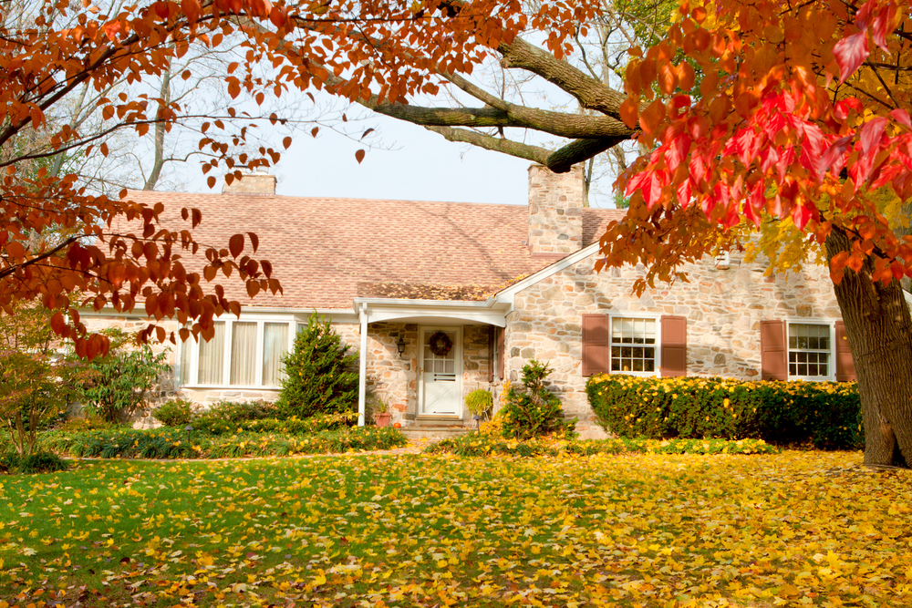 Single Family house with autumn leaves. Dogwood trees in the foreground, the yellow leaves are Norway Maple.