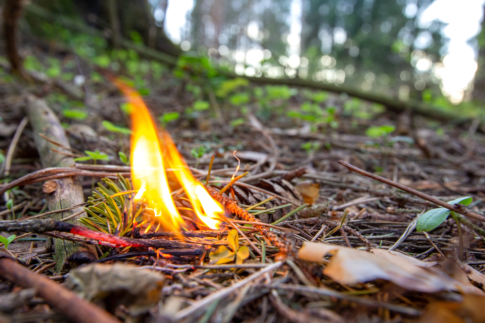 Fire Prevention by Vicente Landscaping